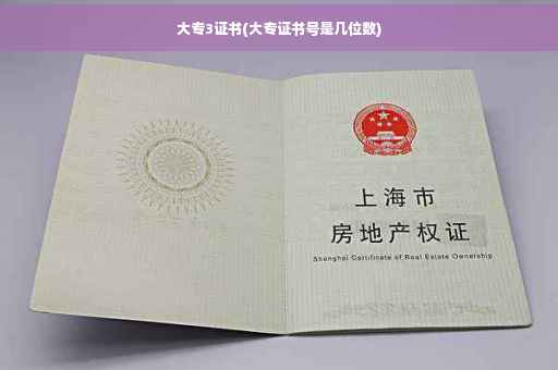 大专3证书(大专证书号是几位数)