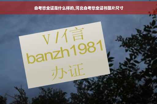 自考毕业证是什么样的,河北自考毕业证书图片尺寸