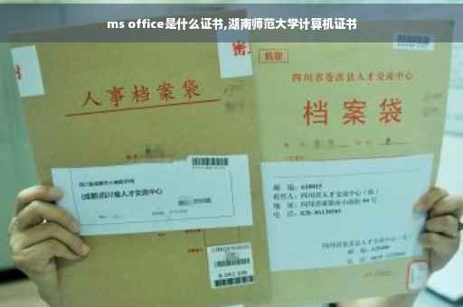 ms office是什么证书,湖南师范大学计算机证书