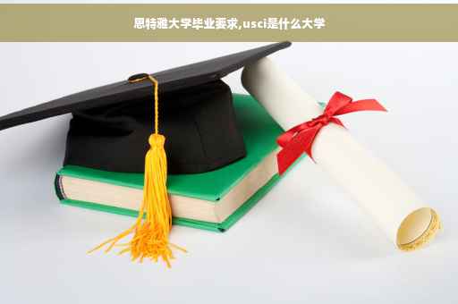 思特雅大学毕业要求,usci是什么大学