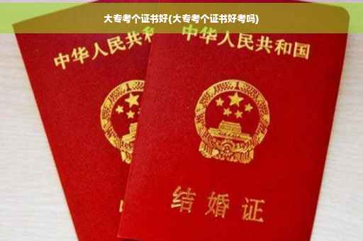 大专考个证书好(大专考个证书好考吗)