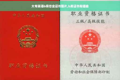 大专英语b级毕业证书图片,b类证书有哪些