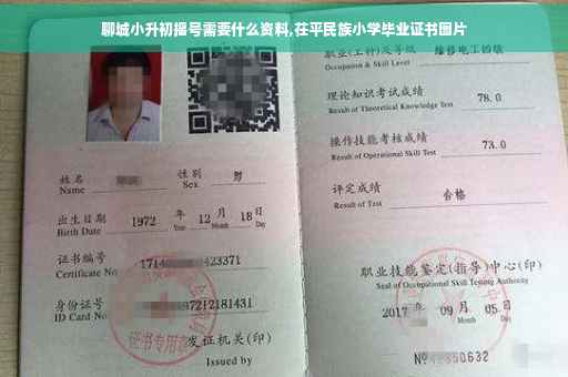 聊城小升初摇号需要什么资料,茌平民族小学毕业证书图片 聊城小升初摇号需要什么资料,茌平民族小学毕业证书图片