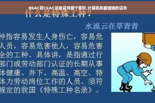 NSAC和CEAC这些证书哪个更好,计算机类最值钱的证书