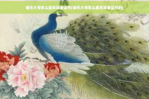 音乐大专怎么报志愿者证书(音乐大专怎么报志愿者证书的)