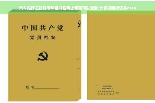 汽车维修工技能等级证书在网上哪里可以查到,计算机四级证书osta