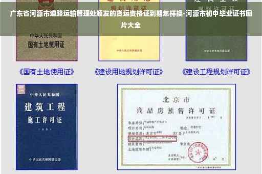 广东省河源市道路运输管理处颁发的货运资格证到期怎样换-河源市初中毕业证书图片大全