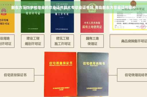 新东方烹饪学校毕业的毕业证书算大专毕业证书吗,青岛新东方毕业证书图片