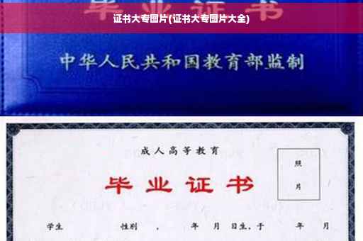 证书大专图片(证书大专图片大全)