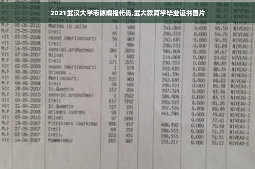 2021武汉大学志愿填报代码,武大教育学毕业证书图片