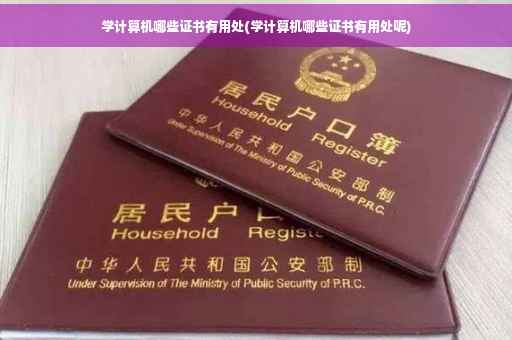 学计算机哪些证书有用处(学计算机哪些证书有用处呢)