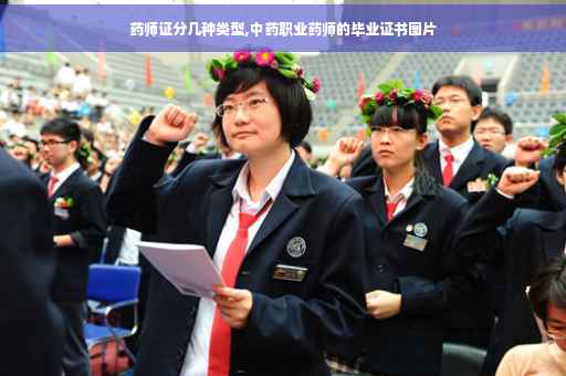 药师证分几种类型,中药职业药师的毕业证书图片