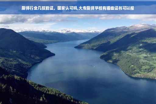 厨师行业几技能证，国家认可吗,大专厨师学校有哪些证书可以报