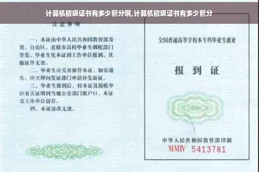 计算机初级证书有多少积分啊,计算机初级证书有多少积分