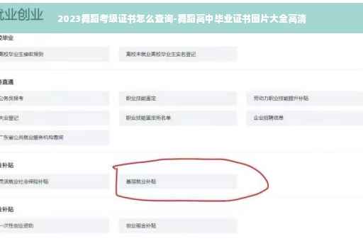 2023舞蹈考级证书怎么查询-舞蹈高中毕业证书图片大全高清