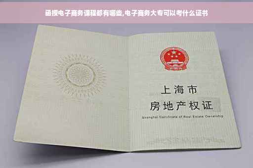 函授电子商务课程都有哪些,电子商务大专可以考什么证书