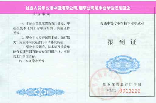 社会人员怎么进中国烟草公司,烟草公司是事业单位还是国企