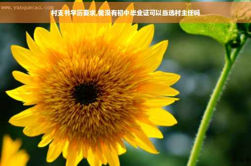 村支书学历要求,我没有初中毕业证可以当选村主任吗