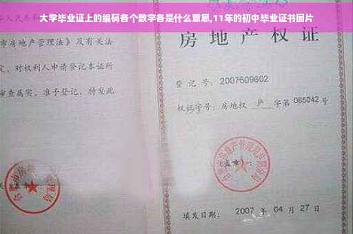 大学毕业证上的编码各个数字各是什么意思,11年的初中毕业证书图片