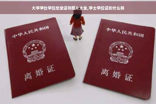 大学学仕学位毕业证书图片大全,学士学位证长什么样