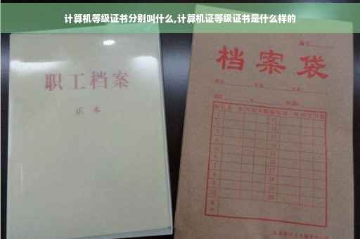 计算机等级证书分别叫什么,计算机证等级证书是什么样的