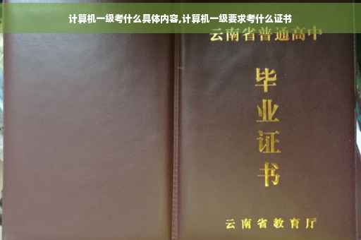 计算机一级考什么具体内容,计算机一级要求考什么证书