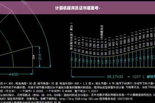 计算机程序员证书哪里考-