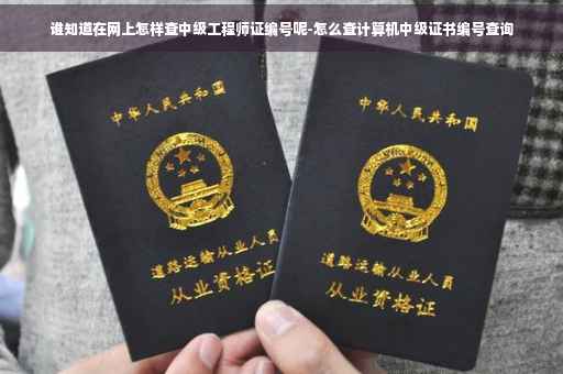 谁知道在网上怎样查中级工程师证编号呢-怎么查计算机中级证书编号查询