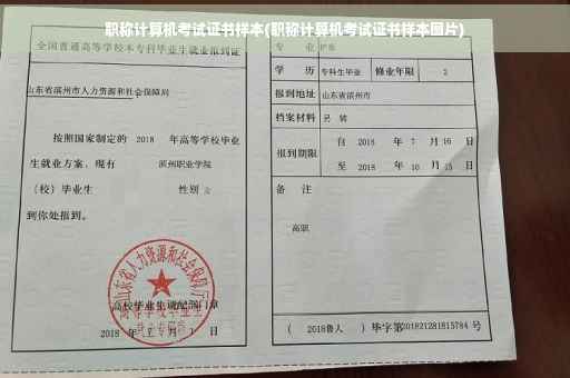 职称计算机考试证书样本(职称计算机考试证书样本图片) 职称计算机考试证书样本(职称计算机考试证书样本图片)