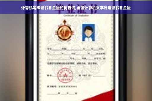 计算机等级证书含金量如何查询,全国计算机文字处理证书含金量