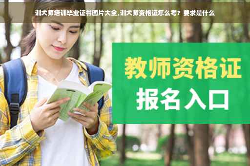 训犬师培训毕业证书图片大全,训犬师资格证怎么考？要求是什么