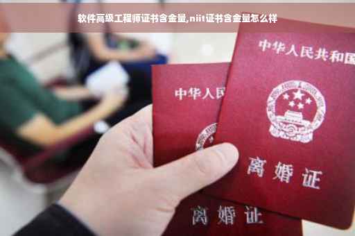 软件高级工程师证书含金量,niit证书含金量怎么样