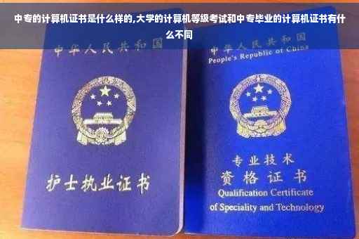 中专的计算机证书是什么样的,大学的计算机等级考试和中专毕业的计算机证书有什么不同