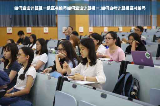 如何查询计算机一级证书编号如何查询计算机一,如何自考计算机证书编号