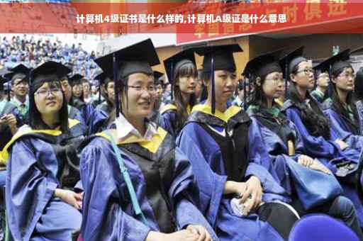 计算机4级证书是什么样的,计算机A级证是什么意思