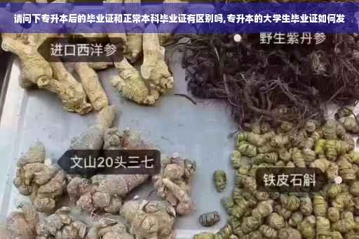 请问下专升本后的毕业证和正常本科毕业证有区别吗,专升本的大学生毕业证如何发