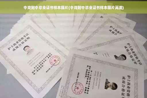 中戏附中毕业证书样本图片(中戏附中毕业证书样本图片高清)