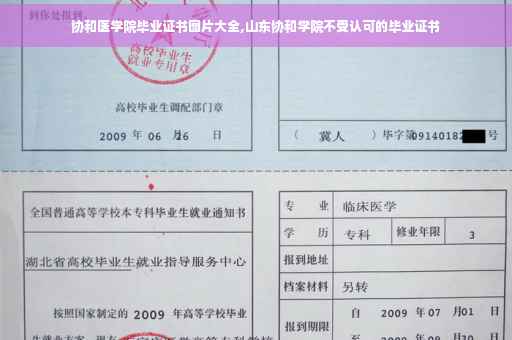 协和医学院毕业证书图片大全,山东协和学院不受认可的毕业证书