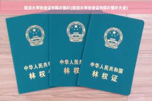 经济大学毕业证书照片图片(经济大学毕业证书照片图片大全)