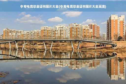 中专电竞毕业证书图片大全(中专电竞毕业证书图片大全高清)
