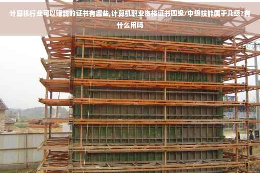 计算机行业可以赚钱的证书有哪些,计算机职业资格证书四级/中级技能属于几级?有什么用吗