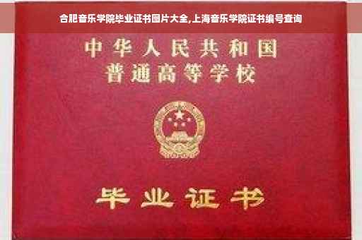 合肥音乐学院毕业证书图片大全,上海音乐学院证书编号查询