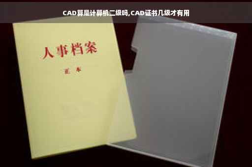 CAD算是计算机二级吗,CAD证书几级才有用