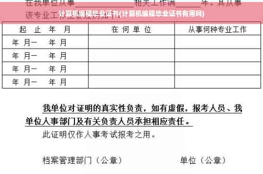 计算机编程毕业证书(计算机编程毕业证书有用吗)