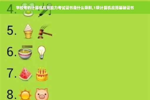 学校考的计算机应用能力考试证书是什么级别,1级计算机应用基础证书