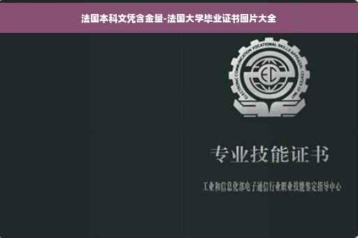 法国本科文凭含金量-法国大学毕业证书图片大全