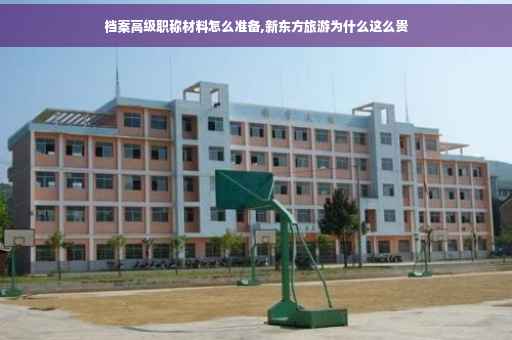 档案高级职称材料怎么准备,新东方旅游为什么这么贵