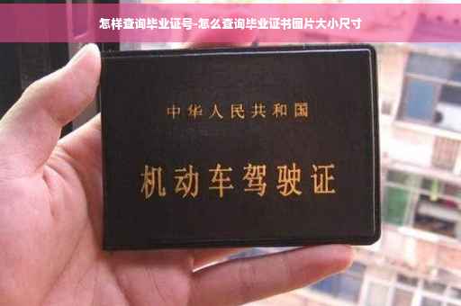 怎样查询毕业证号-怎么查询毕业证书图片大小尺寸