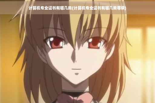 计算机专业证书有哪几类(计算机专业证书有哪几类等级)