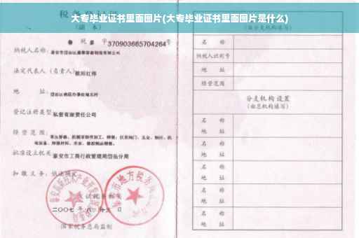 大专毕业证书里面图片(大专毕业证书里面图片是什么)